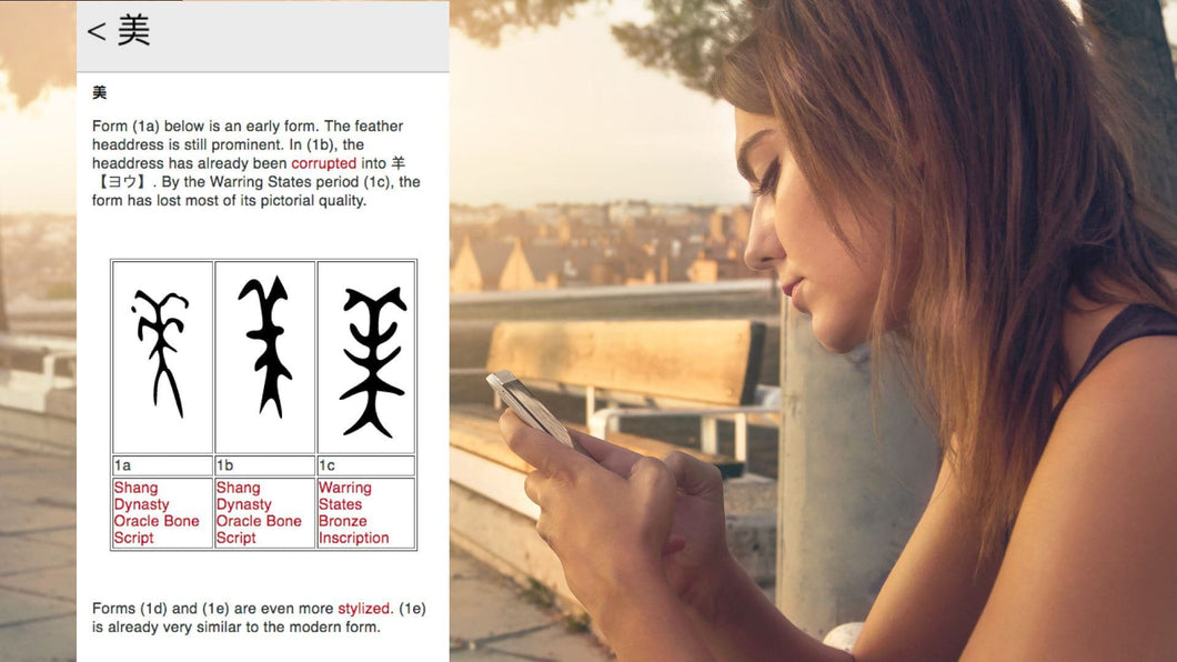 Outlier Kanji Dictionary: Expert Edition Outlier Linguistics