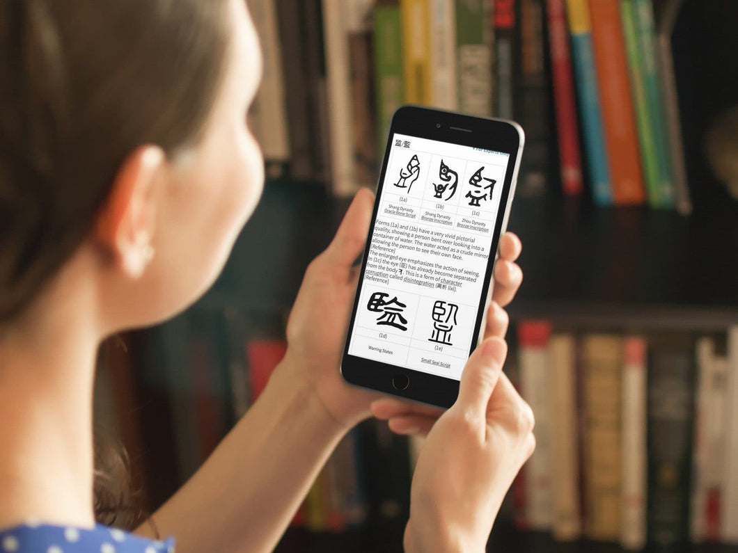 Outlier Dictionary of Chinese Characters: Expert Edition Outlier Linguistics